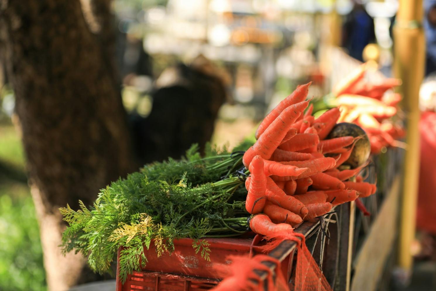 Traditional ethnic cuisine preparation with authentic ingredients and cooking techniques